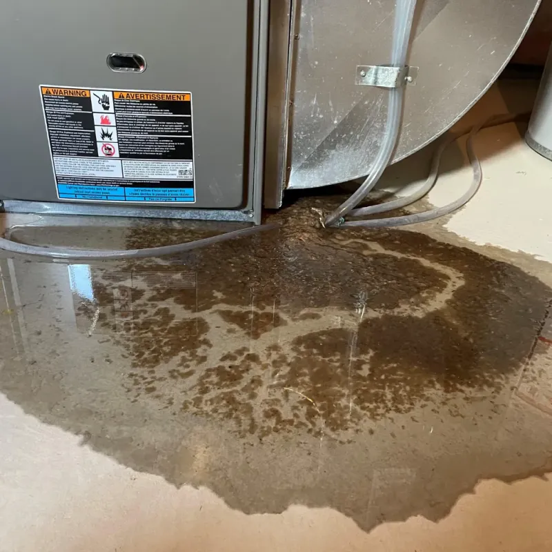 Appliance Leak Cleanup in Malvern, OH